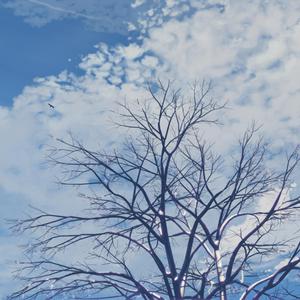 初三青春色情少女淫免费观看
