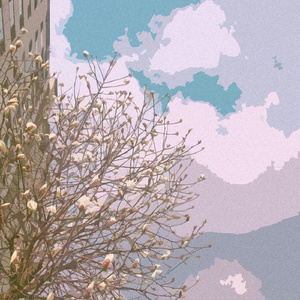 初三青春色情少女淫免费观看
